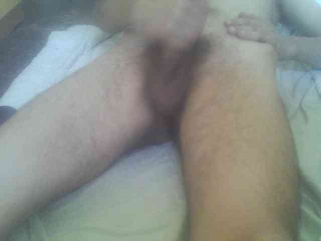 Pauk13
