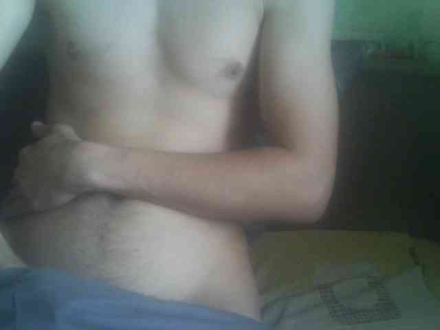 Pauk13 Pauk13