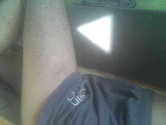 Pauk13