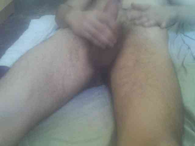 Pauk13