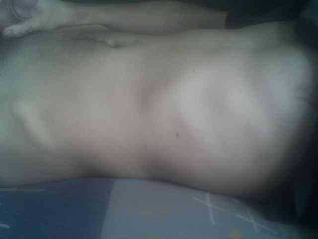 Pauk13