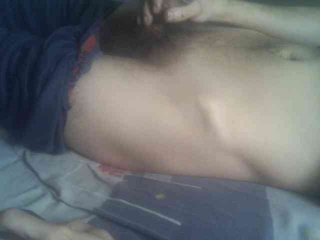 Pauk13 Pauk13