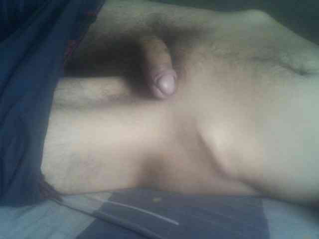 Pauk13