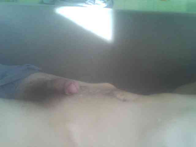 Pauk13