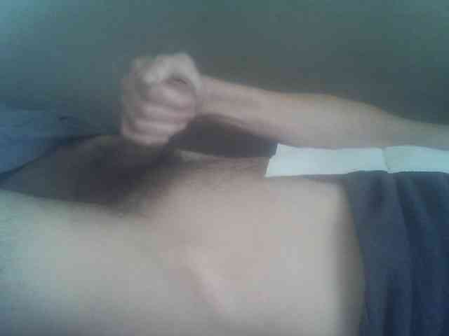 Pauk13