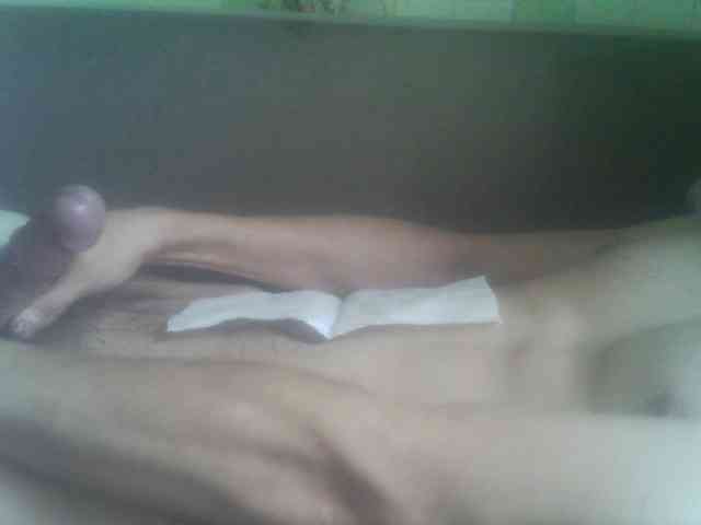 Pauk13 Pauk13