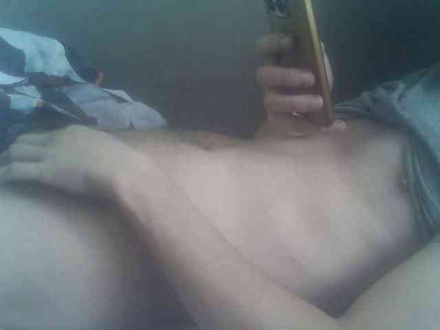 Pauk13 Pauk13