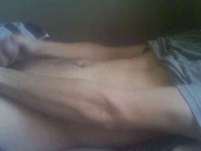 Pauk13 Pauk13