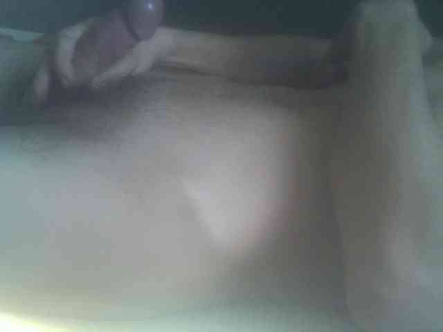 Pauk13