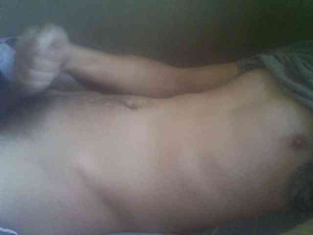 Pauk13