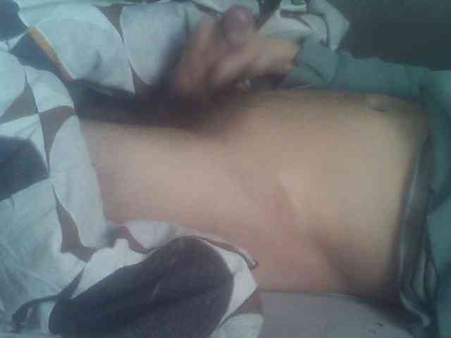 Pauk13 Pauk13