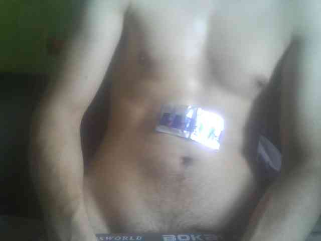 Pauk13