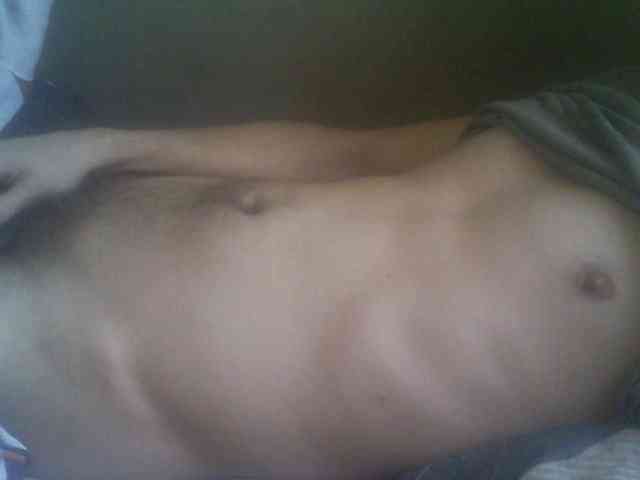 Pauk13