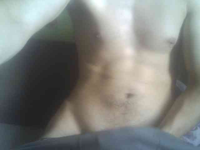 Pauk13 Pauk13