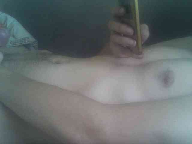 Pauk13 Pauk13