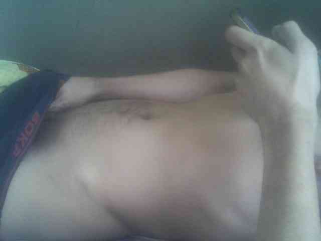 Pauk13 Pauk13