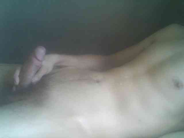 Pauk13 Pauk13
