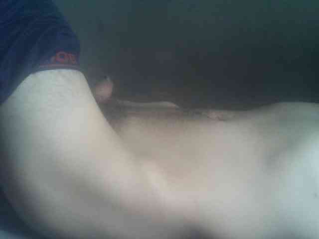 Pauk13 Live Webcam on BongaCams
