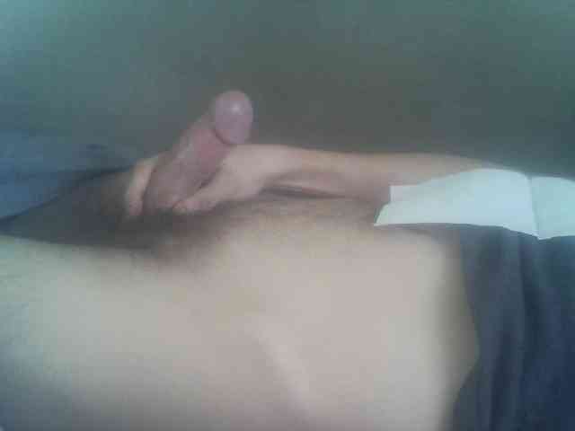Pauk13