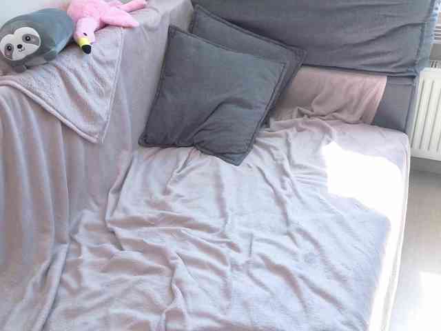EvaBliss webcam