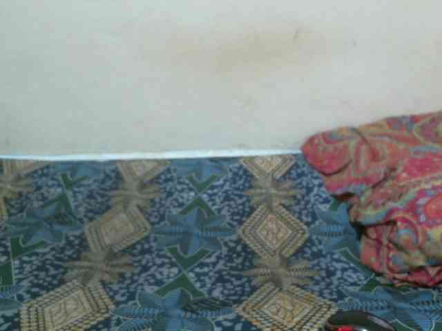 Sexxiemaya webcam