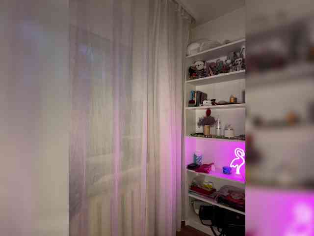 Li-Love webcam