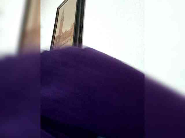 Cris810a webcam