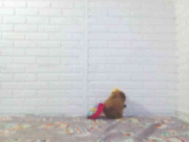 crystalstonee1 webcam