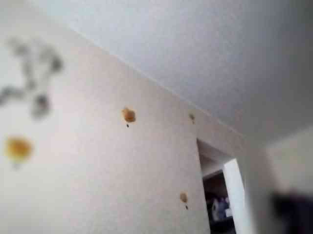 Dana28ba webcam