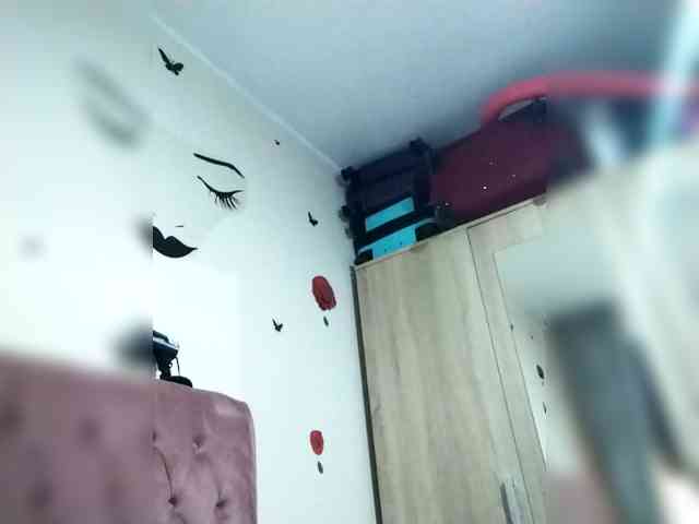 Dana28ba webcam