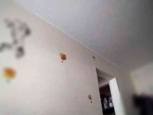 Dana28ba webcam