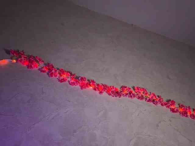 RamonaTags
