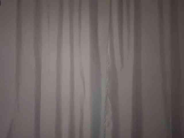 RamonaTags webcam