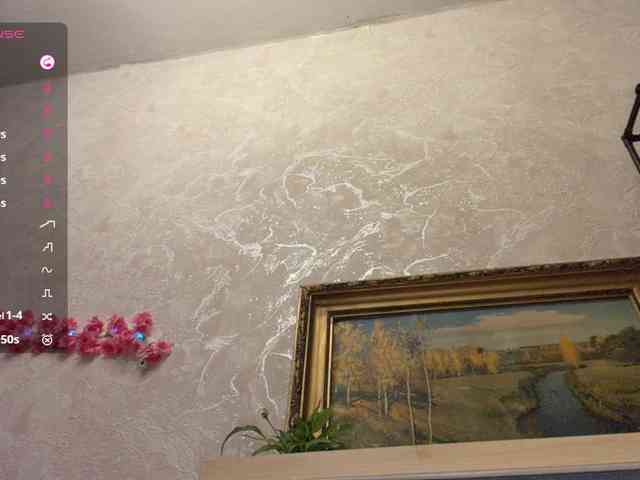 RamonaTags webcam