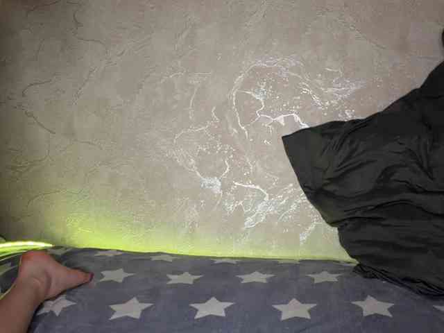 RamonaTags webcam