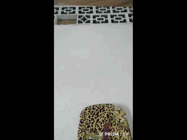 yennys webcam