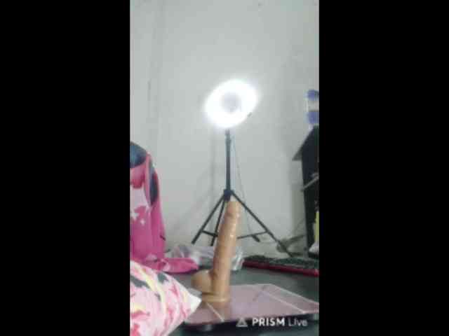 yennys webcam