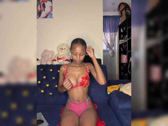 Pixellll webcam