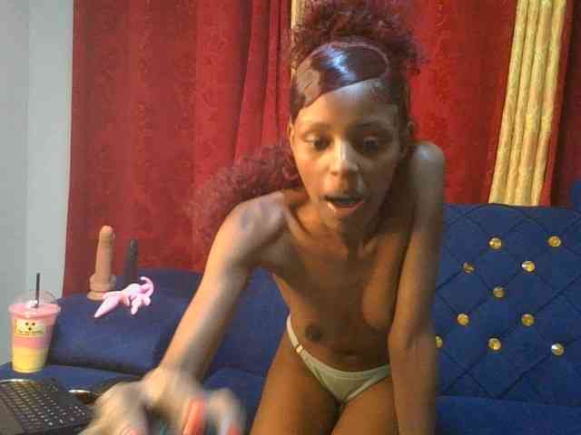 Pixellll webcam