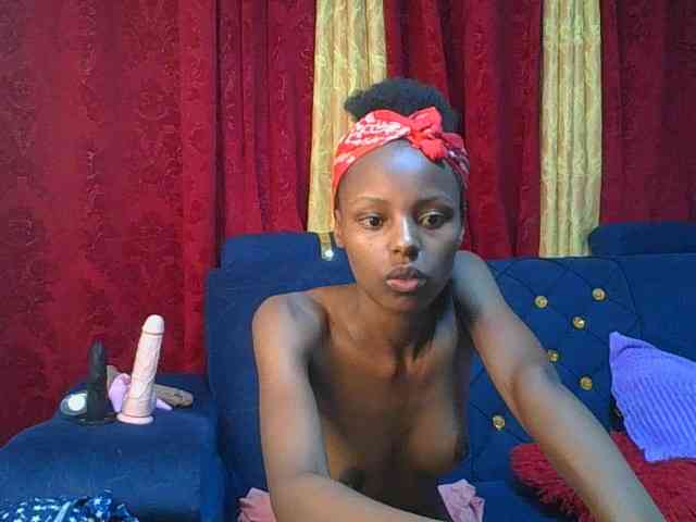 Pixellll webcam