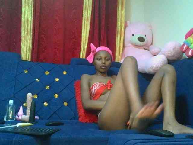 Pixellll webcam
