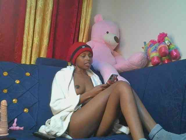 Pixellll webcam