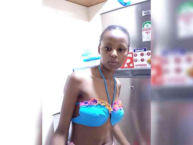 Pixellll webcam
