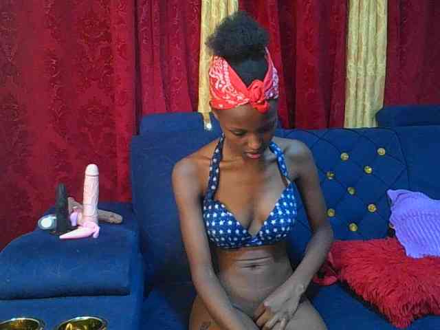 Pixellll webcam
