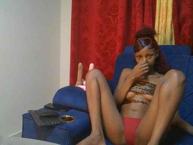 Pixellll webcam