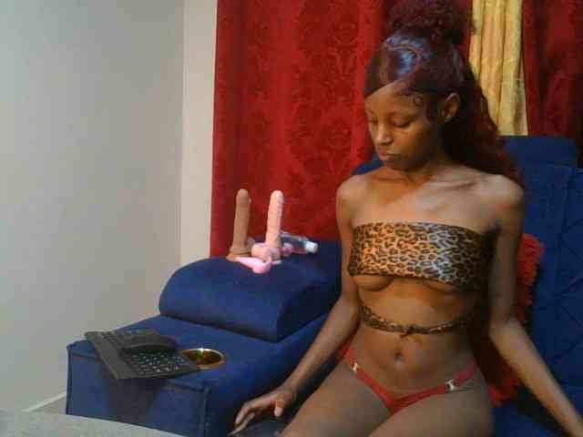 Pixellll webcam