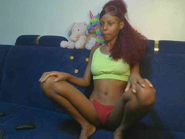 Pixellll webcam
