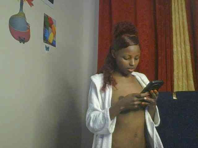 Pixellll webcam