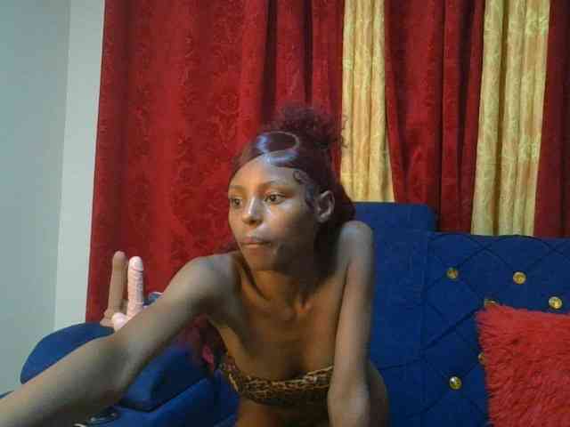 Pixellll webcam