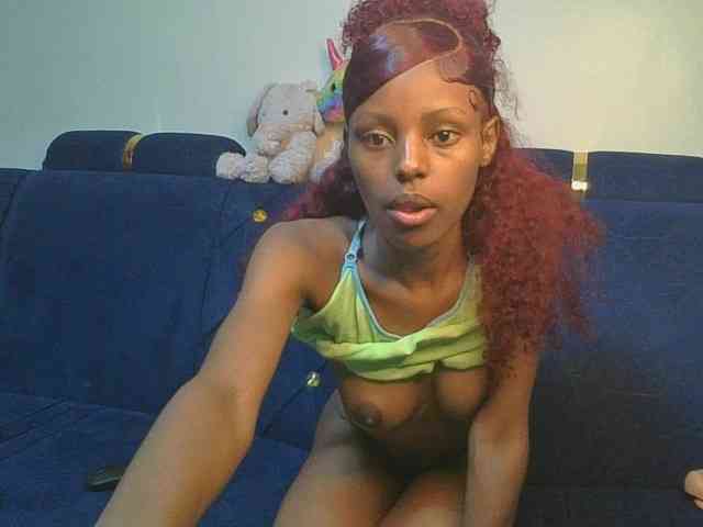 Pixellll webcam
